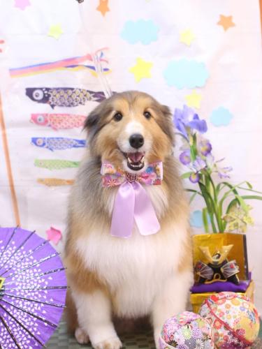 20240521リクくん